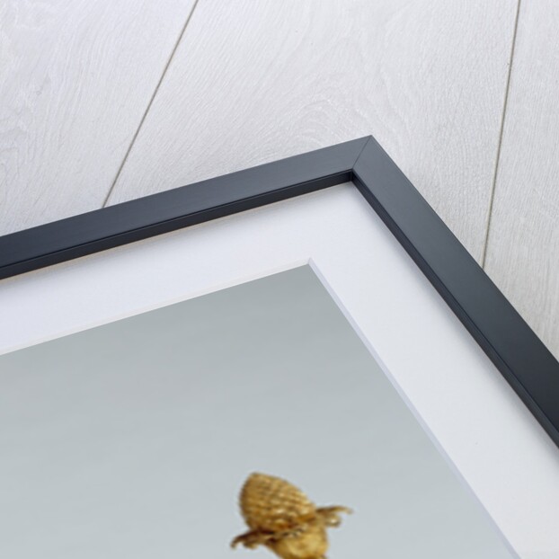 Fire Dog by Pierre Gouthière