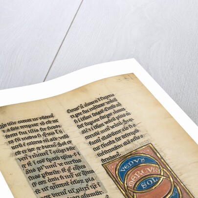 The Orbits of Venus, Mercury, and the Sun by Anonymous