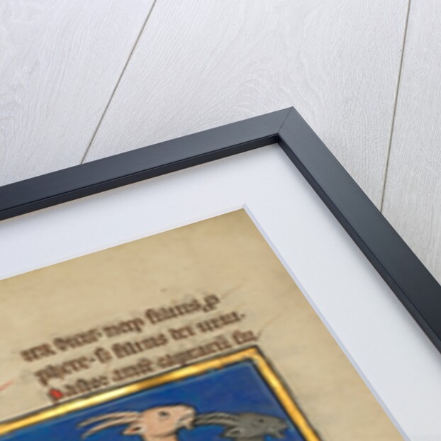 Amos and Three Goats by Anonymous