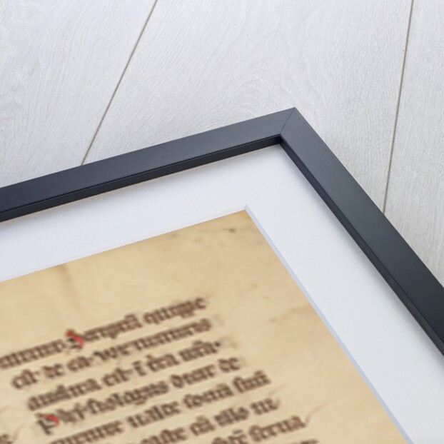 A Turtle Dove by Anonymous