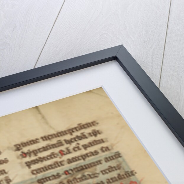 A Salamander by Anonymous