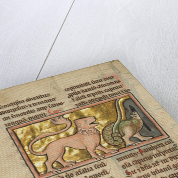 A Lion and a Winged Dragon by Anonymous