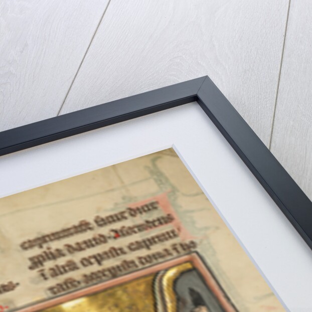 A Lion and a Winged Dragon by Anonymous