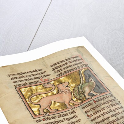 A Lion and a Winged Dragon by Anonymous