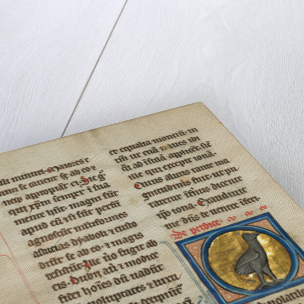 A Partridge by Anonymous