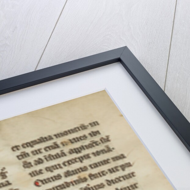 A Partridge by Anonymous