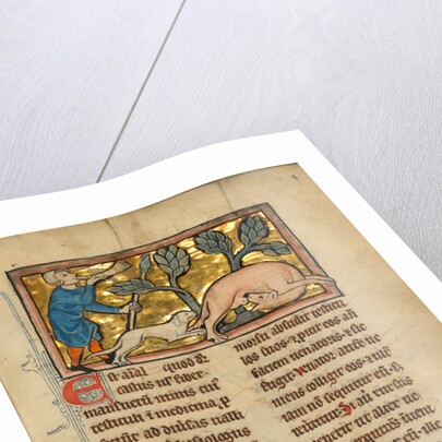 A Hunter Blowing his Horn While Attacking a Beaver by Anonymous