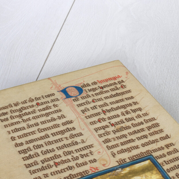 A Hoopoe by Anonymous