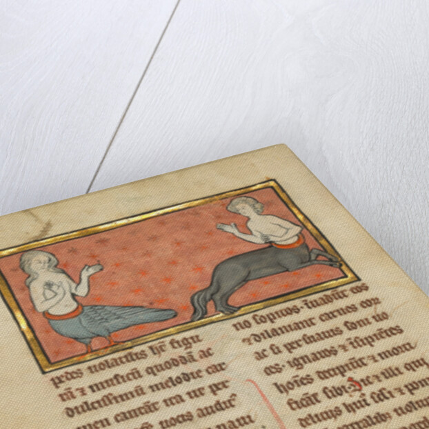 A Siren and a Centaur by Anonymous