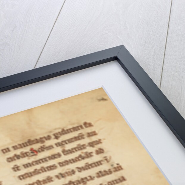 A Hedgehog by Anonymous