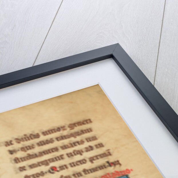 A Caladrius Bird by Anonymous