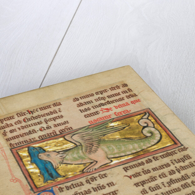 A Sawfish by Anonymous