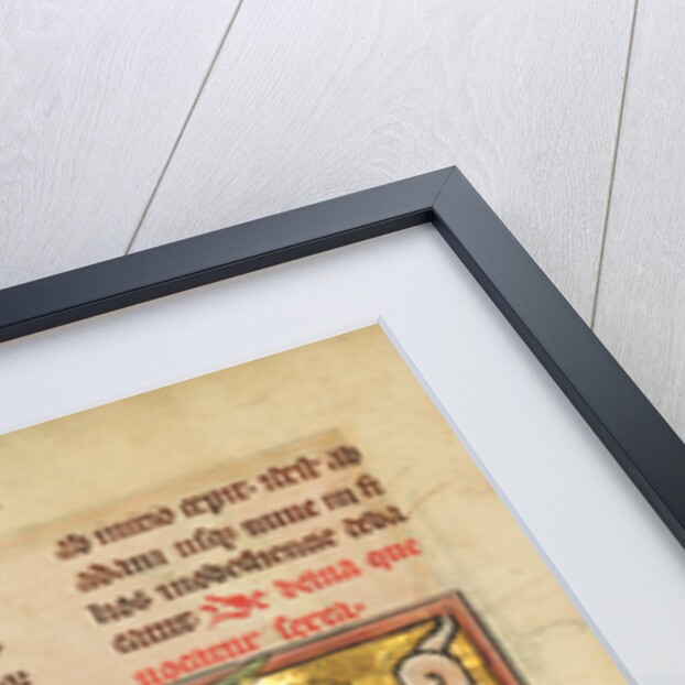 A Sawfish by Anonymous