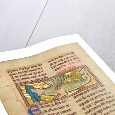 A Sawfish by Anonymous