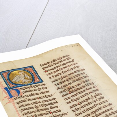 A Hoopoe by Anonymous