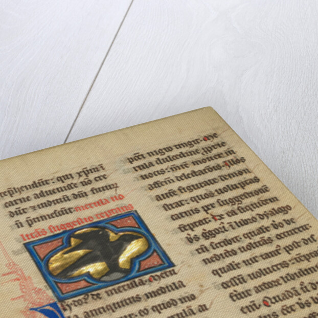 A Blackbird by Anonymous