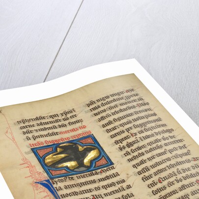 A Blackbird by Anonymous