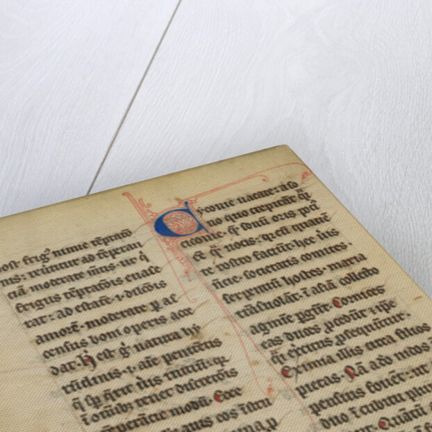 A Stork by Anonymous