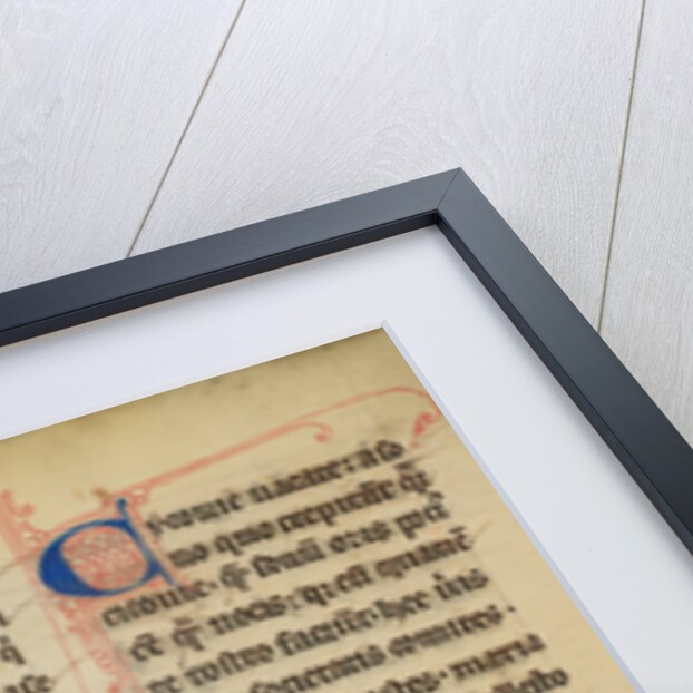 A Stork by Anonymous