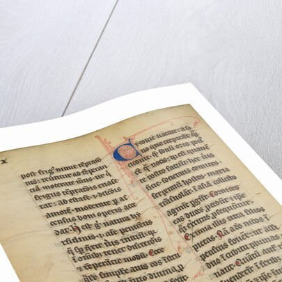 A Stork by Anonymous