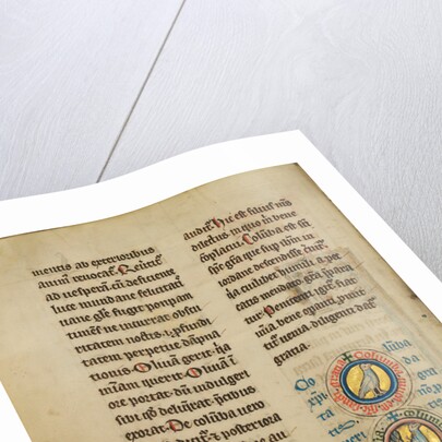 Two Medallions with Doves by Anonymous