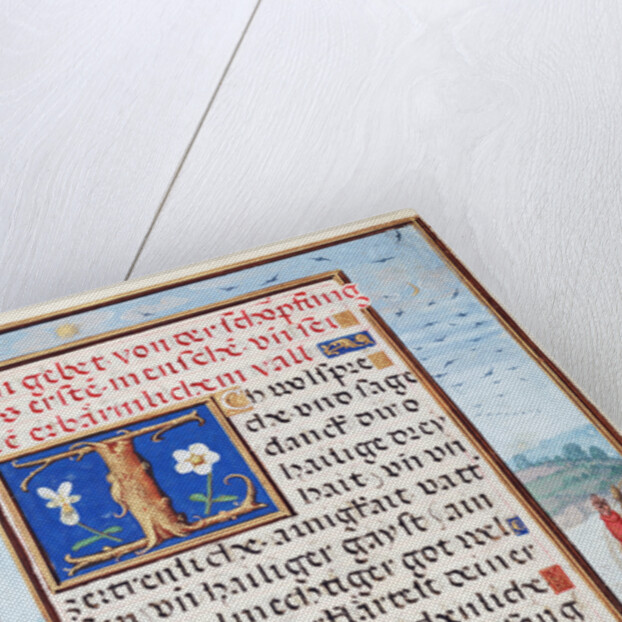 Border with the Creation of Birds and Fishes by Simon Bening