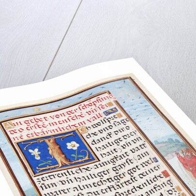 Border with the Creation of Birds and Fishes by Simon Bening