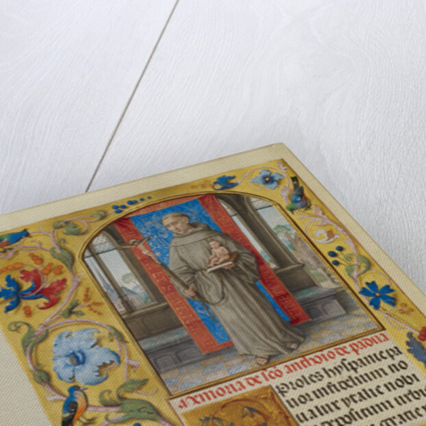 Saint Anthony of Padua by Master of James IV of Scotland