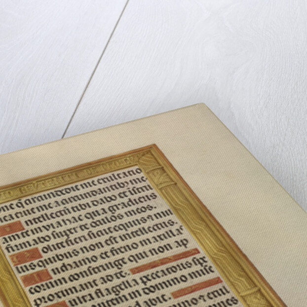 David with the Head of Goliath by Anonymous