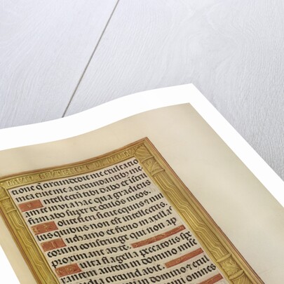 David with the Head of Goliath by Anonymous