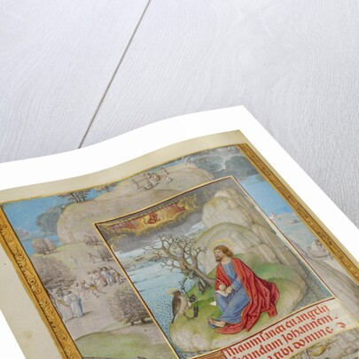 Saint John on Patmos by Master of the Lübeck Bible