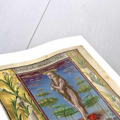 Mary Magdalene Borne Aloft by Taddeo Crivelli