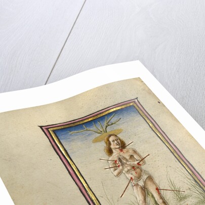 The Martyrdom of Saint Sebastian by Taddeo Crivelli