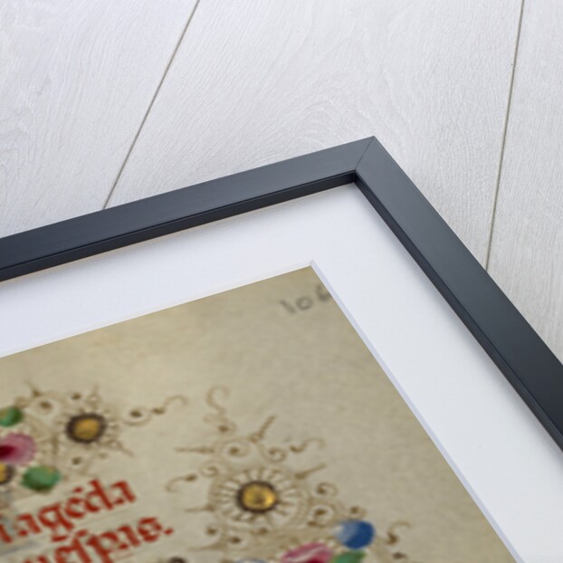 Initial D: A Skull in a Rocky Field by Taddeo Crivelli