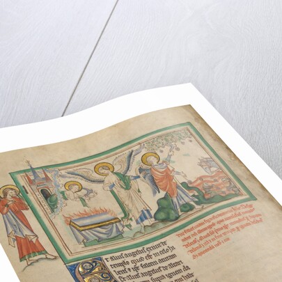 The Harvest of Grapes by Anonymous