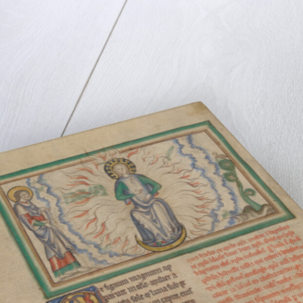 The Woman Clothed in the Sun by Anonymous