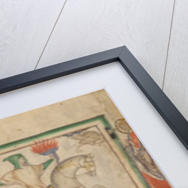 The Opening of the Fourth Seal: The Fourth Horseman by Anonymous