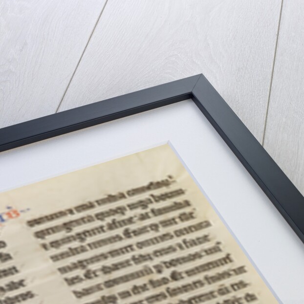 Initial V: Job Derided by his Wife by Anonymous