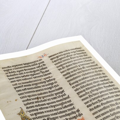 Initial V: Job Derided by his Wife by Anonymous