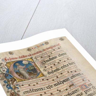 Initial C: The Creation of the World by Anonymous