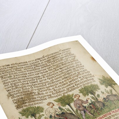 Aimo and Vermondo Killing Two Wild Boars by Anovelo da Imbonate