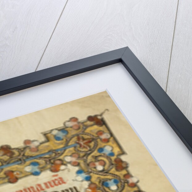 Initial D: The Virgin and Child by Masters of Dirc van Delf