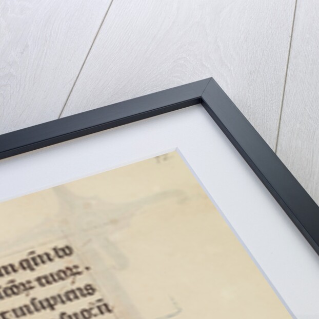 Initial D: The Fool, with a Dog Face and Wearing Winged Headgear, Menacing Christ, bas-de-page A Fool Making Face at the Reader by Bute Master