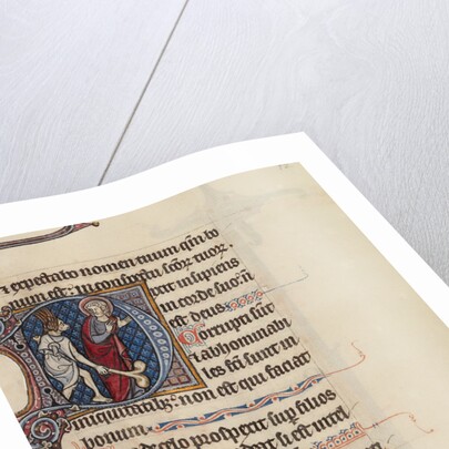 Initial D: The Fool, with a Dog Face and Wearing Winged Headgear, Menacing Christ, bas-de-page A Fool Making Face at the Reader by Bute Master