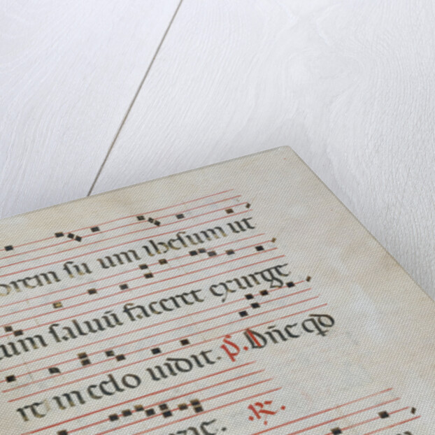 Initial S: The Stoning of Saint Stephen by Master of Gerona