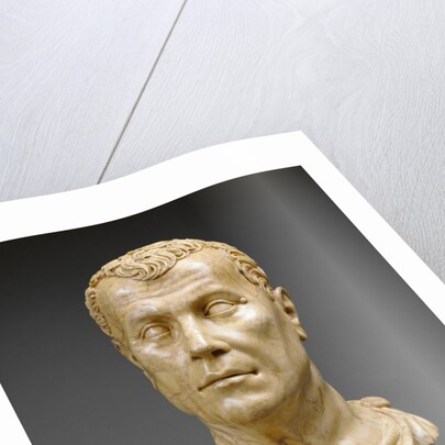 Head of a Man (possibly a portrait of Cicero, 106 - 43 B.C.) by Conrat Meit