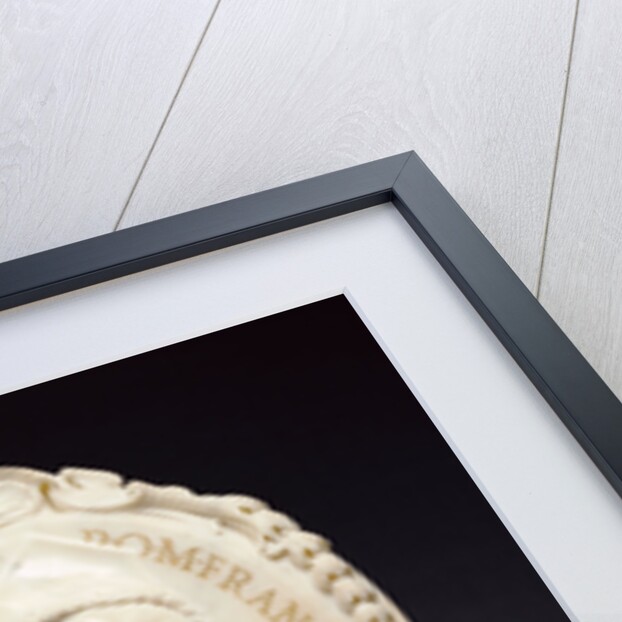 Portrait medallion of Pope Alexander VIII (1610 - 1691, reigned 1689 - 1691) by Lorenzo Ottoni