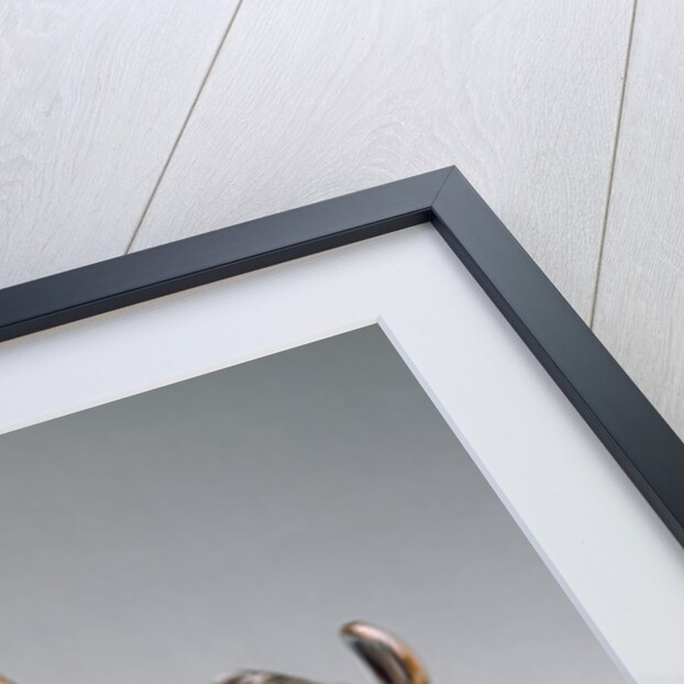 Lion Attacking a Horse and Lion Attacking a Bull by Antonio Susini