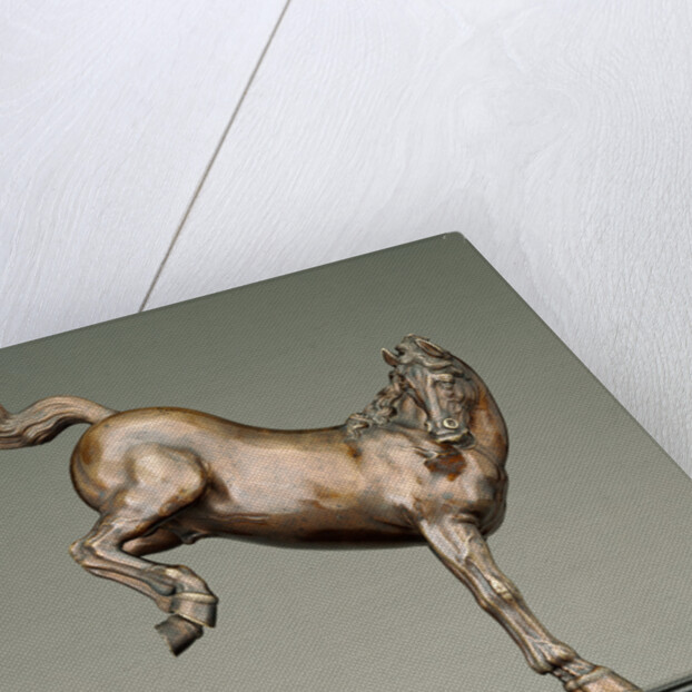 Kicking Horse by Caspar Gras