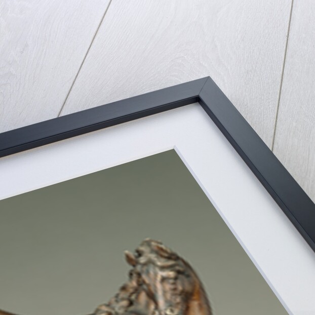 Kicking Horse by Caspar Gras